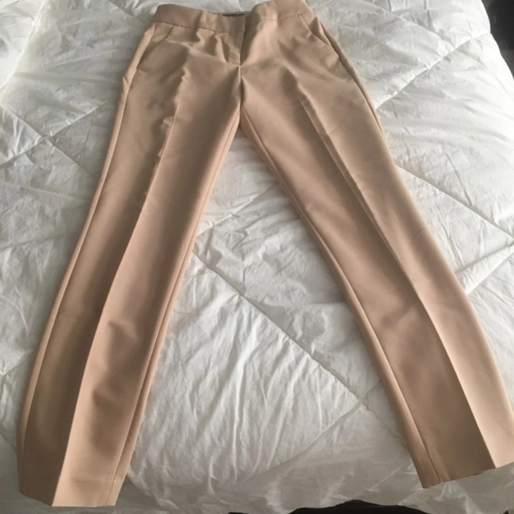 Express Columnist ankle pants